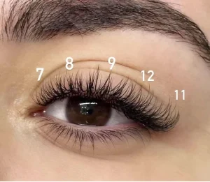 0.05 0.07mm Mega Russian Volume Camellia Handmade Fan Lashes Blooming Easy Fanning Camilla Lash Eyelash Extensions PBT Material