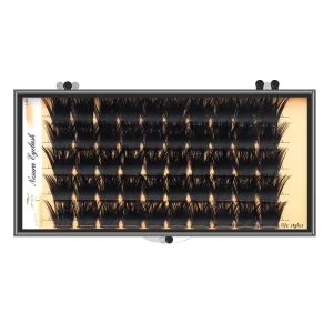 100D 150D 200D Cluster Lashes Individual Eyelashes Silk Lashes Supplier DIY Cluster Eyelashes Segment Lashes Extension