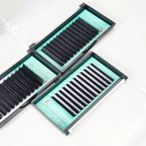1s Blooming Easy Fan Eyelashes Black DD Curl 0.03mm 8-15mm 12 Rows Bulk Supply