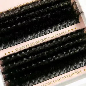 200D Individual Fluffy 5D Mixed Curl Fiber Private Label Cluster Eyelash C D Curl Diy Lash Extension Waterproof Natural Soft