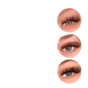 220 Clusters DIY Individual Eyelash Clusters Mixed 14-20mm D Curl Self Grafting False Lashes
