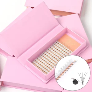 2d 3d 4d 5d 6d 7d 8d 9d 10d 20d Russian Premade Volume Fans 0.05 14d 0.03 Eyelash Extension Fanned Individual Lashes