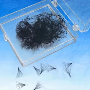 3D 20D 500 1000 Premade Fans Loose Fan Lashes Pointy Base Private Label Pro Made Fans Eyelash Extensions