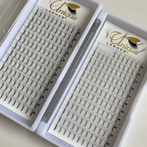 3D 4D 5D 6D 0.07MM Long Stem Premade Fan Eyelashes 8mm to 15mm C D CC DD Curl Eyelash Supplier