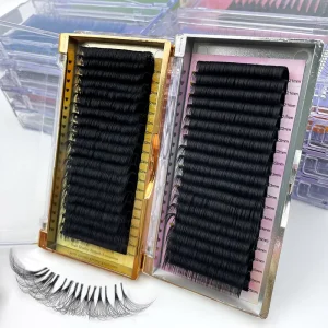 3D 4D 5D 6D W Y Shape Volume Eyelash Extension Individual False Eyelash W Weave Clover Lash Private Label Lashextension