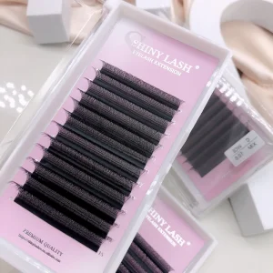 3D 8D Clover Lashes Double Layer W Shape Eyelashes All Size Fast Grafting Long Lasting Clover Lash Extensions