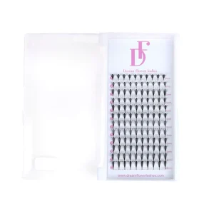 3D Anime Chunk Lashes Trays 0.05 0.07 Crisscross Synthetic Hair Handmade Lightweight Super Soft Premade Fan Lashes c Lc Dd
