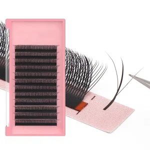 3D Fairy W Shaped Lashes Extensions Private Label 0.07mm 3D W Wispy 3D Lash Extension Supplies