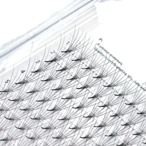 6D Korean Silk Premade Lash Fans Natural Style DD Curl Loose False Eyelash Extensions