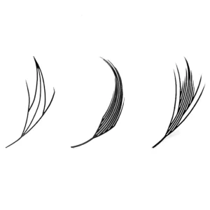 Anime Lash 0.07mm C D Curl 8 15mm Premade Anime Chunk Lashes Spire Comic Eyelash Tray Private Label Eyelash Extension