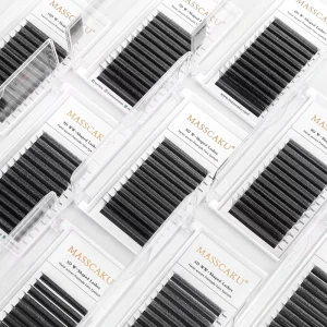 Auto Blooming W Style Premade Volume Fans Eyelash Extension Long Lasting Individual Lashes