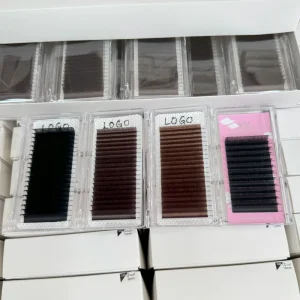 Black Eye Lash Enhancements Eyelash Trays Matte Siberian Cashmere Silk Individual Lash Extensions