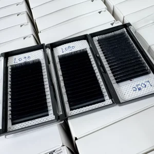 Bulk Sale Korean PBT Easy Fan Eyelash Extension Professional 0.05 LD Curl 1 Second Fan Lashes Superior Volume Lash Trays