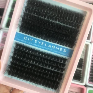 Butterfly Wing Lash Segments Graceful Curved Line Youth Stylish Eye Look Factory Goods