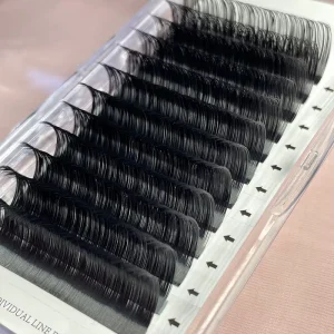 Classic Individual Eyelash Extensions 0.07mm Korea PBT Fiber For Lash Trays Matte Black Handmade Volume Vegan Cruelty Free