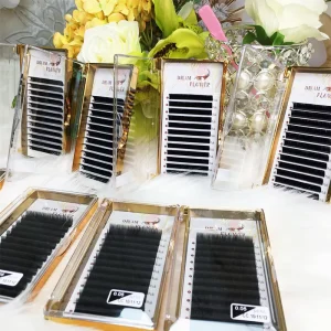 DF Matte Premium Easy Fan Eyelash Extention Mink Easy Fan Russian Volume Lashes Natural Easy Fan Volume Eyelashes Extension