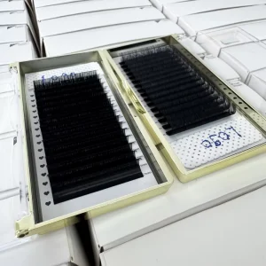 Direct Supply High Density Mega Volume Lashes Super Fine Base Lash Tray for High-end Beauty Studios and Certified Pros