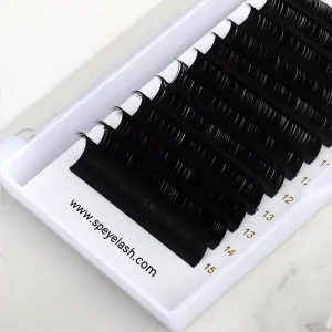 EYELASH C D M Curl Blooming Lash Classic Easy Fan Lash Silk Supplier 0.05mm Dark Matte Individual Lash Extensions