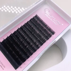 Easy Fan Lashes Supplies Pbt Eyelash Extension Russian Volume Matte Black 12rows Lash Trays Cashmere Lash Extensions