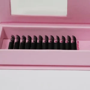 Easy Model Eyelash Extension Matte 0.05 0.20cc DD D Curl Silk Russian Volume Lashes 10mm 17mm Length Made From Cashmere