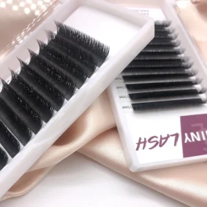 Eyelashes 2D V Shape Hand Waved Premade Fans Eyelash Extensions Natural Soft Light Individual Matte Dense Makeup