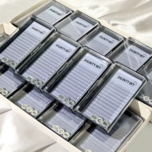 Factory Price 0.07 C D Curl Pointy Base Fan Eyelash Extension 160 Lash Fans False Eyelashes Handmade 16 Lines Lash Fans Trays