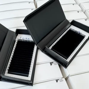 Factory Price Korean PBT Easy Fan Eyelash Extension Soft 0.05 DD Curl 1 Second Fan Lashes Professional Volume Lashes