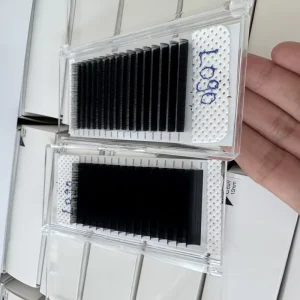 Factory Price Soft Matte Black Easy Fan Eyelash Extension 0.05 DD Curl 1 Second Fan Lashes Professional Volume Lash Trays