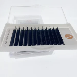 Factory Supply Classic Silk Eyelash Extension Russian Volume Korean PBT Material High Quality Lashes