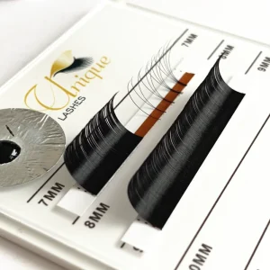 Fans Lash Extensions Individual One by One Classic Lashes Matte Black Glossy Black Eyelash Extensions