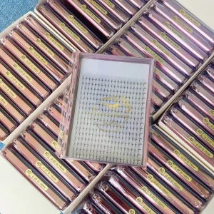 Handmade Feather Eyelash Extensions Pointy Bases Sharp Base Middle Tape Promade Volume Fans Gloss Finish 5D-14D
