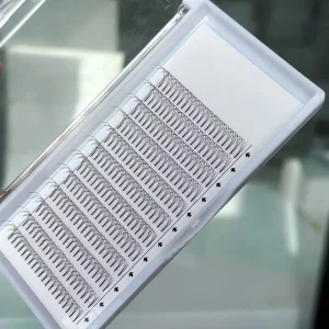 Handmade Premade 10D Volume Fans 3D 6D Eyelashes Soft Korean PBT Material D for 17mm Length 12 Rows Boxed