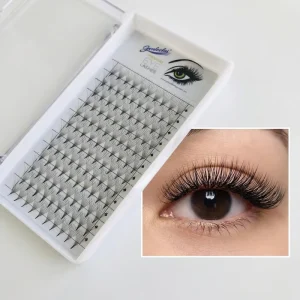 Handmade Premade Volume Fans Lash Extensions 0.05 0.07 0.10mm C D L Cul 8 18mm 3D 12D Pointy Base Wispy Korean PBT Material