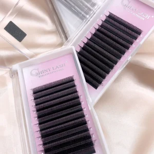 Handmade W Lashes Individual 3D Clover Weave Lashes Matte Black Pre-made Volume Fan Eyelash Extension