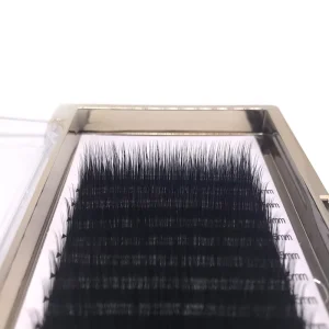 Korean Camellia Eyelash Extensions Cruelty Free Cashmere Lashes