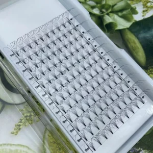 Korean PBT 2D 3D 4D 5D 6D 8D 10D Heat Bonded Volume Fans Eyelash 0.05 0.07 0.10 mm Pre-Made Russian Volume Lashes