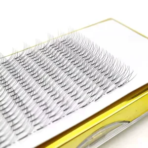 Korean PBT Material Top Grade Premade Volume Eyelash Extension Fans Factory Price Vendor Eyelash Extension Trays