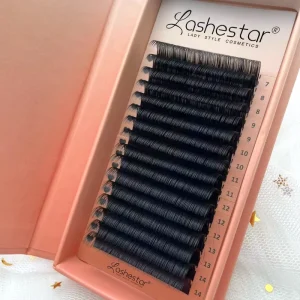 Korean Pbt Supply Private Label Vendor Handmade Dark Matte Mega Volume Mink l Curl Cc Curl Eyelash Extensions