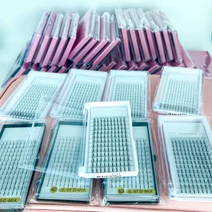 Lash Extensions Trays Lash Volume Fans 20d Premade Volume Fans 10 Trays 3D 4D 5D 6D 7D 8D 10D 20D Korean PBT Fiber Natural Soft