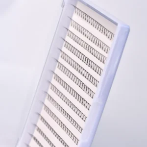 LashPlus Handmade Ultra-speed Promade Fans 3D-20D 0.05 0.07 Lash Premade Fan Pointy Base C CC D DD L Curl