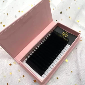 Lashes Supplier 0.05 0.07 0.10 0.15 0.20 0.25 B C D Curl Volume Lash Individual Extension Eyelash Extension Natural Long
