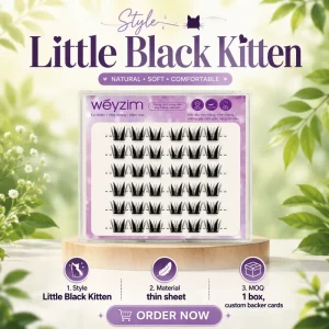 Little Black Kitten Pre-Glued Thin Slice Lashes Cat Eye Individual Clusters 1pc Custom Back Card Private Label Factory Price