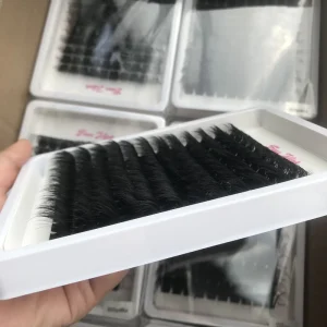 Long Tail Extended Lashes Elegant Extension Design Glue Fix Banquet Formal Eye Look Trade Supply