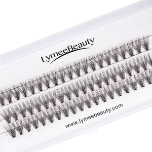 Lymeebeauty Handmade Individual Lash Clusters Cluster Eyelashes Silk Korean PBT Fiber 10D 20D 60fans Precut Segmented Diy Lashes