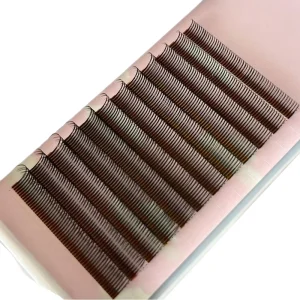 Matte Black 3D Goddess Lashes DD Curl Mix Length Individual Soft Lash Extensions Supplies Lash Trays
