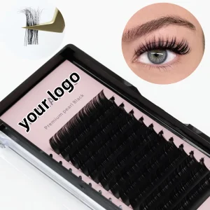 Matte Black Long and Mix Length Easy Fan Eyelash Extensions Private Label Mega Volume BC CD LC & LD Curled Lashes for Eyes