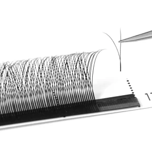 Narrow W Shape Eyelash Extensions 2D 3D 4D 5D Clover Premade Fans 0.07 CC D DD Curl Custom Logo Lash Extension Tray