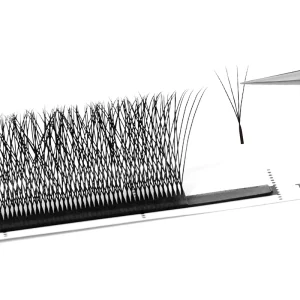Narrow W Shape Eyelash Extensions 2D 3D 4D 5D Clover Premade Fans 0.07 CC D DD Curl Korean PBT Matte Black Lashes