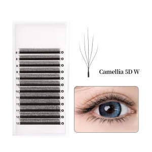 Natural Soft Camellia 5D W Shaped Eyelash Clover Lashes Cruelty Free Natural Black 12mm 17mm Length Private Extension