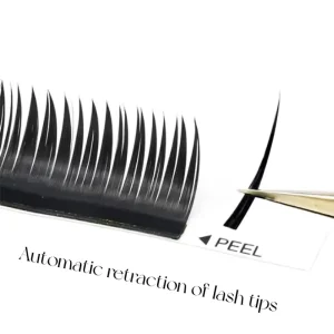 Natural Wet Look Eyelashes Clusters Spikes Manga Wispy Wet Lash 0.07MM Premade Fan Lash